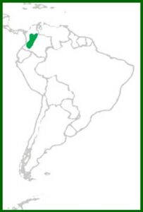 Mapa de distribución