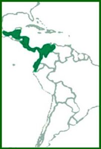 Mapa de distribución