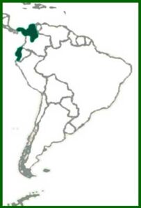 Mapa de distribución