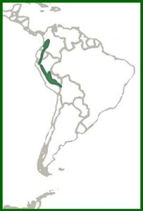 Mapa de distribución