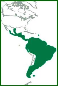 Mapa de distribución