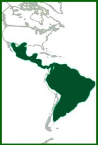 Mapa de distribución