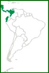 Mapa de distribución