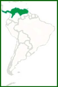 Mapa de distribución