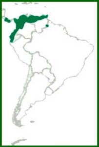Mapa de distribución
