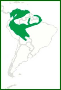 Mapa de distribución
