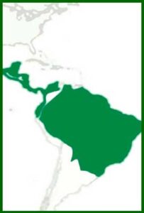 Mapa de distribución