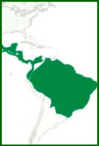 Mapa de distribución