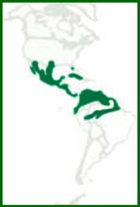 Mapa de distribución