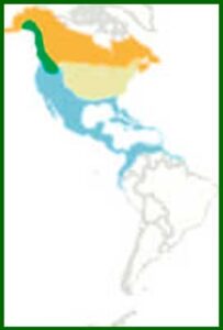 Mapa de distribución