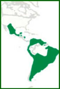 Mapa de distribución