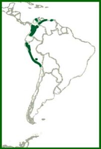 Mapa de distribución