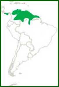 Mapa de distribución