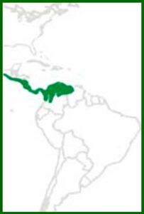 Mapa de distribución