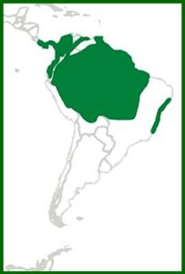 Mapa de distribución