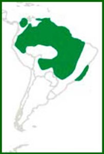 Mapa de distribución