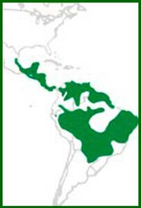 Mapa de distribución