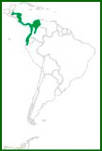 Mapa de distribución