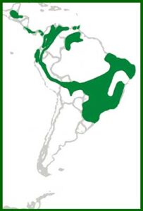 Mapa de distribución