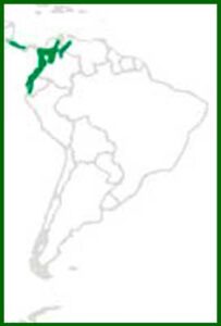 Mapa de distribución