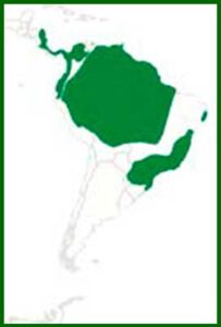 Mapa de distribución