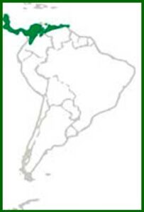 Mapa de distribución