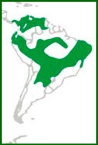 Mapa de distribución
