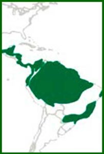 Mapa de distribución