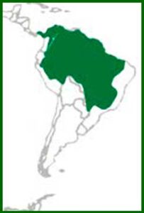 Mapa de distribución