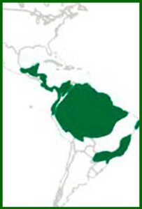 Mapa de distribución