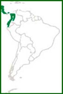 Mapa de distribución