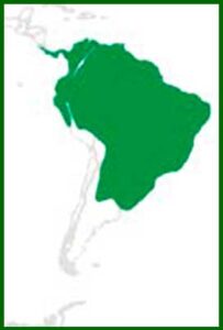 Mapa de distribución