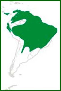 Mapa de distribución