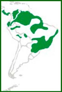 Mapa de distribución