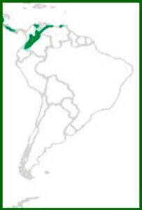 Mapa de distribución