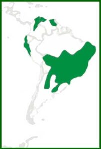 Mapa de distribución