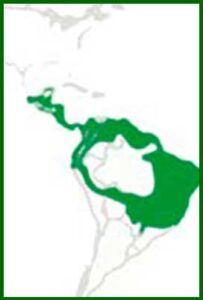 Mapa de distribución