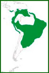 Mapa de distribución