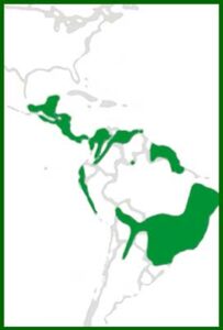 Mapa de distribución