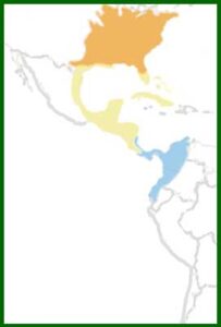 Mapa de distribución