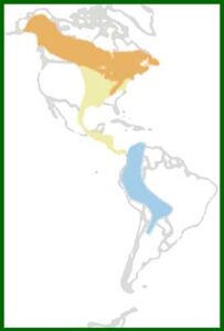 Mapa de distribución