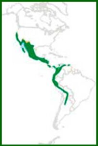 Mapa de distribución