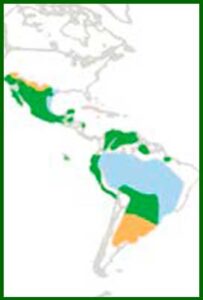 Mapa de distribución