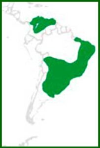 Mapa de distribución