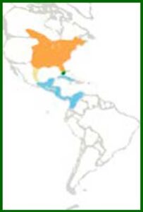 Mapa de distribución