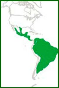 Mapa de distribución