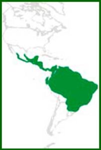 Mapa de distribución