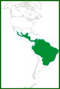 Mapa de distribución