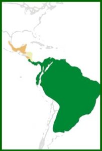 Mapa de distribución