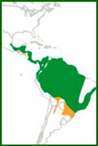 Mapa de distribución